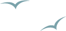 Symbolic flying birds (graphic only, no text)