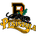 Logo for PPHS